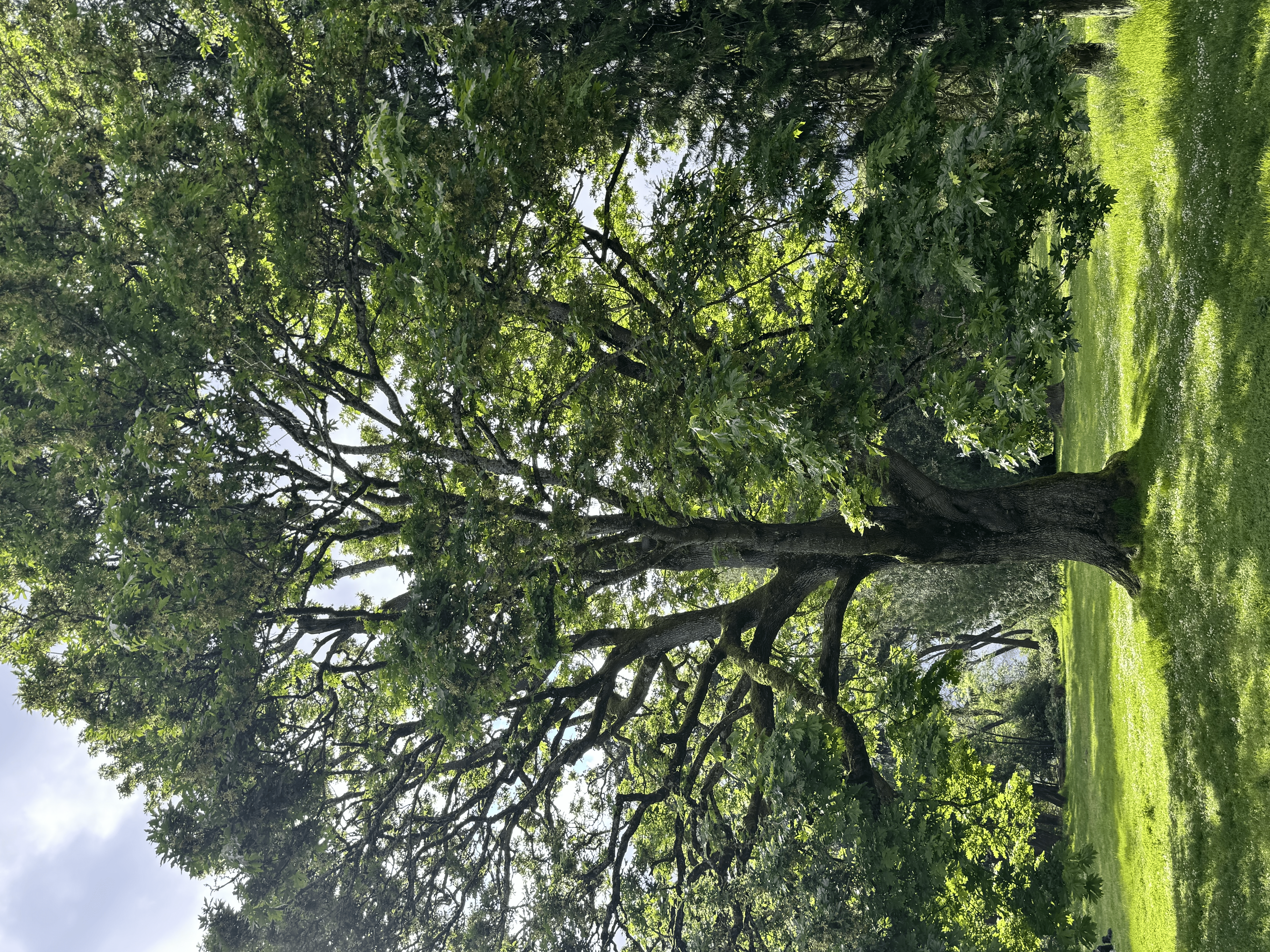 The Real Cost of Living in Bothell, WA: A Comprehensive Breakdown for 2026 3 Cost of Living in Bothell WA