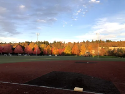 Woodinville real estate playing fields