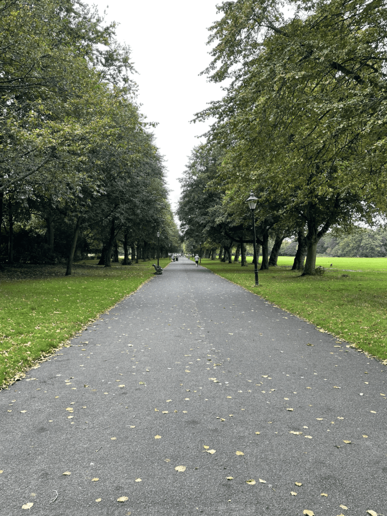 Burke Gilman Trail Homes
