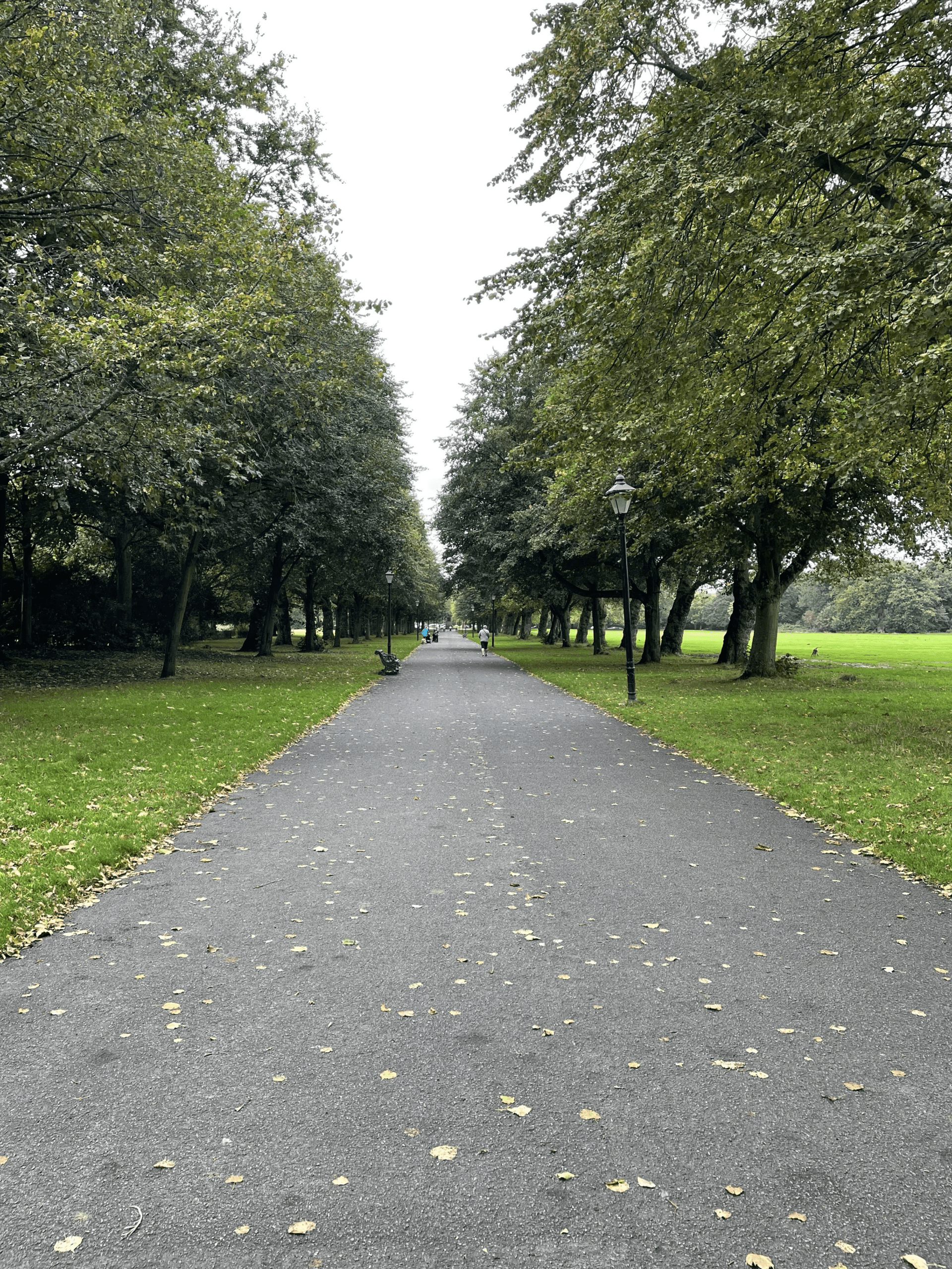 Burke Gilman Trail Homes