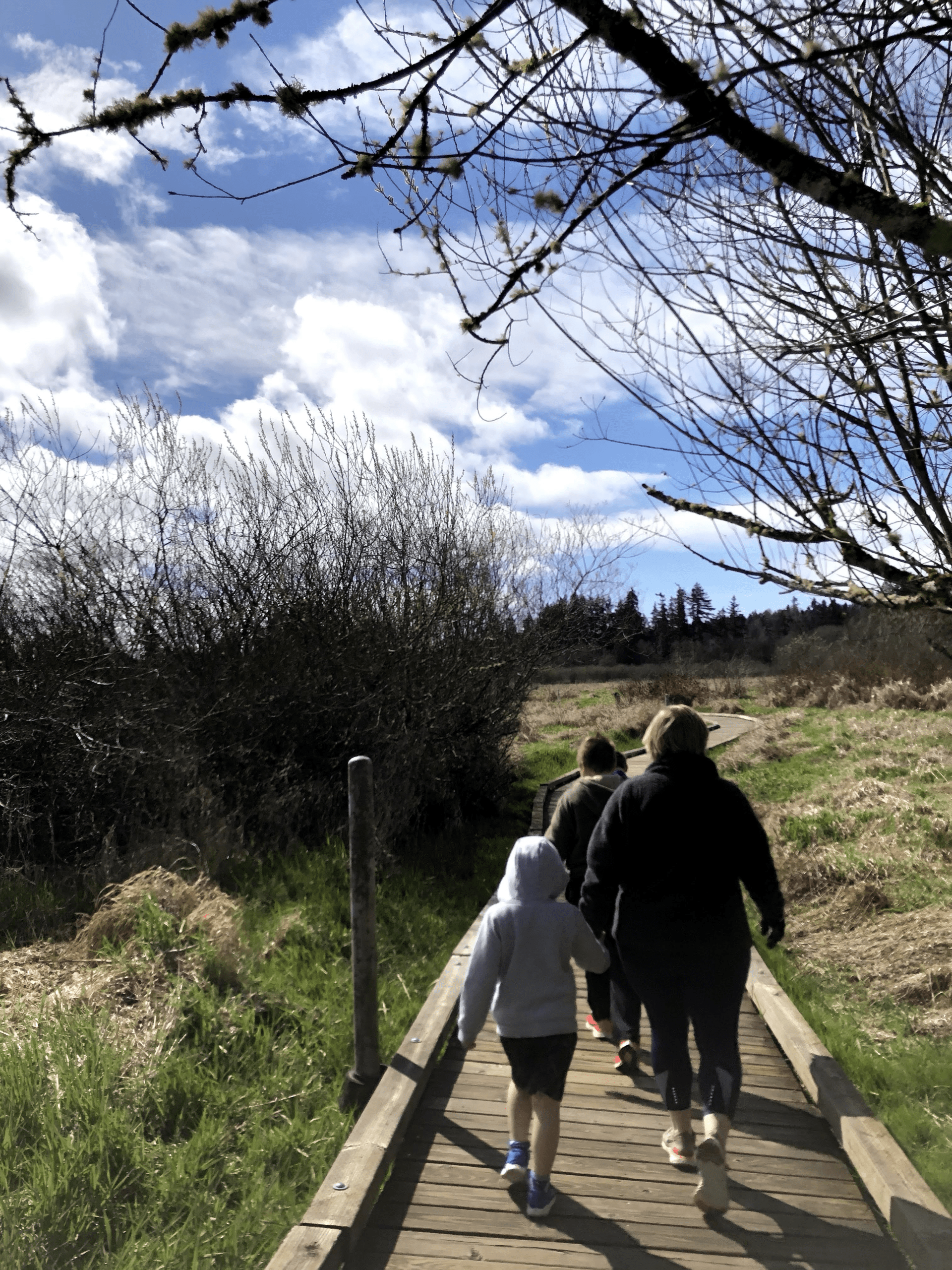 Mill Creek vs. Bothell, WA: A Side-by-Side Guide for Buyers 2 Mill Creek vs Bothell WA real estate comparison guide